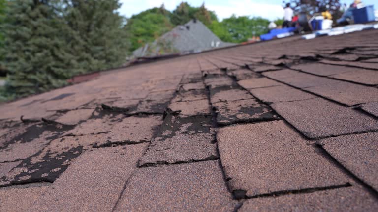 Best Cold Roofs  in Cleveland, OH